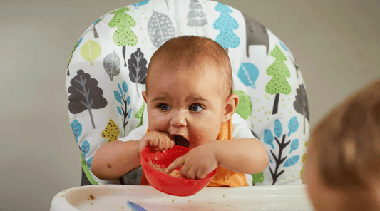 What are The Top 5 Tips to Know Solids Baby First Foods - Introducing Solids to Your Little One hybrid cloth diapers covers, washable cloth  diapers, reusable cloth  diapers, disposable nappy pads, chemical free, rash free healthy nappy pads