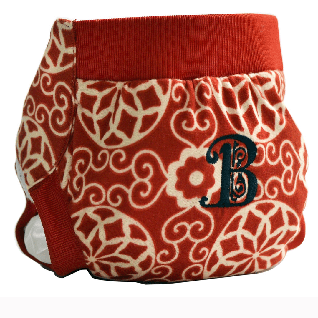 small, medium, large, extra large, Detachable Pouch, Cloth Diaper Cover, Hybrid Cover, unique pouch, traditional usable inserts, chemical-free disposable inserts,